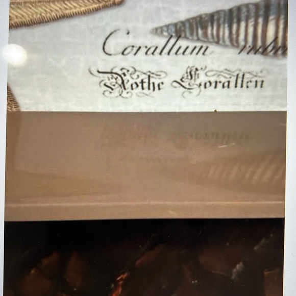 COPY - NEW Michel Design Works Seashells Vanity Tray, Lacquered sides/base, bea… - Picture 4 of 7